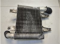 281904X700 Радиатор интеркулера Hyundai Terracan 2001-2007 20670339 #2