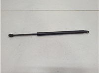 1L2Z16C826AA Амортизатор капота Ford Explorer 2001-2006 20672221 #1