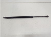 1L2Z16C826AA Амортизатор капота Ford Explorer 2001-2006 20672221 #2