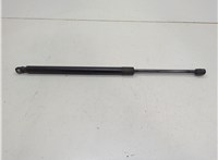 1L2Z16C826AA Амортизатор капота Ford Explorer 2001-2006 20672223 #1