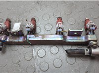 166009F600, 175204M500 Форсунка топливная Nissan Almera Tino 20672233 #1