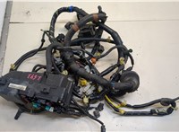  Электропроводка Honda Ridgeline 2005-2014 20672285 #1