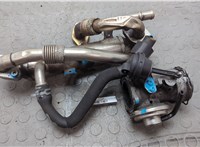  Клапан рециркуляции газов (EGR) Seat Alhambra 1996-2010 20672350 #1