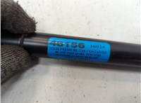 Амортизатор крышки багажника Chevrolet Tahoe 2006-2014 20672353 #2