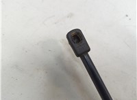 Амортизатор крышки багажника Chevrolet Tahoe 2006-2014 20672356 #3