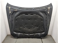 41617207194, 7207194 Капот BMW 5 F10 2010-2017 20672604 #8