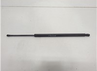  Амортизатор крышки багажника Infiniti QX56 2004-2010 20672692 #1