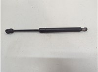  Амортизатор капота Infiniti QX56 2004-2010 20672704 #2