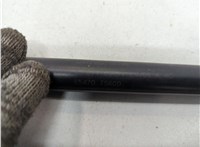  Амортизатор капота Infiniti QX56 2004-2010 20672704 #3