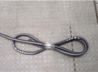  Уплотнитель Lexus GS 2011-2020 20672717 #1