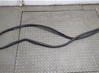 5076862AF Уплотнитель Dodge Journey 2011-2020 20672719 #1