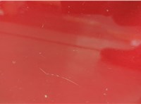 Петля двери Chevrolet Malibu 2018-2025 11540510 #5