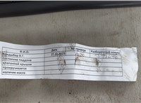  Двигатель (ДВС) Ford Transit (Tourneo) Connect 2002-2013 20672855 #10