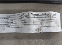 Двигатель (ДВС) Nissan Juke 2010-2019 20672995 #9