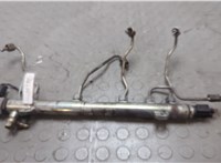 A6460701895 Рампа (рейка) топливная Mercedes Vito W639 2003-2014 20673017 #1