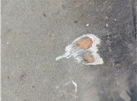 Крыло Jaguar XF 2007-2015 20673198 #5