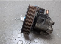 49110EA200 Насос гидроусилителя руля (ГУР) Nissan Pathfinder 2004-2014 20673268 #1