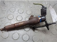  Форсунка топливная Ford Transit (Tourneo) Connect 2002-2013 20673976 #1