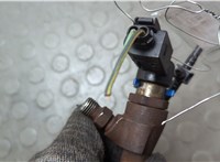  Форсунка топливная Ford Transit (Tourneo) Connect 2002-2013 20673976 #2