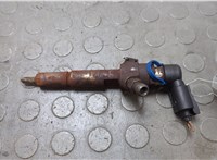  Форсунка топливная Ford Transit (Tourneo) Connect 2002-2013 20673977 #1