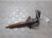  Форсунка топливная Ford Transit (Tourneo) Connect 2002-2013 20673978 #1