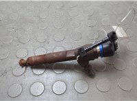  Форсунка топливная Ford Transit (Tourneo) Connect 2002-2013 20673979 #1