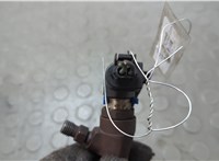  Форсунка топливная Ford Transit (Tourneo) Connect 2002-2013 20673979 #2