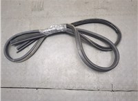  Уплотнитель Dodge Journey 2011-2020 20674091 #1