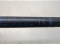 534400W221 Амортизатор капота Buick Encore GX 2019-2024 20674281 #2