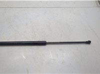 534500W221 Амортизатор капота Buick Encore GX 2019-2024 20674288 #1