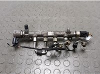 04L130089G Рампа (рейка) топливная Skoda SuperB 2015-2025 20674482 #1