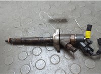 1980H3 Форсунка топливная Citroen C5 2004-2008 20674605 #1