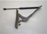 Петля капота KIA Optima 4 2012-2020 20674751 #1