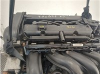  Насос гидроусилителя руля (ГУР) Ford Focus 2 2008-2011 11541326 #5