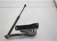 Петля капота KIA Optima 4 2012-2020 20674980 #1