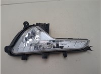 922013W200 Фара противотуманная (галогенка) KIA Sportage 2010-2016 20675537 #1