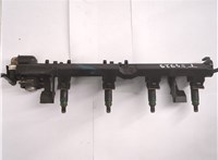  Форсунка топливная Ford Focus 2 2005-2008 20676231 #1