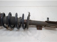 5151134AJ Амортизатор подвески Dodge Journey 2011-2020 20677724 #1