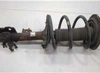 Амортизатор подвески Infiniti FX 2002-2009 20677729 #1