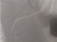 Дверь боковая (легковая) Toyota Sequoia 2008- 20677830 #15