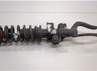 31316784013, 6784013, 31336796767, 6796767 Амортизатор подвески BMW 5 F10 2010-2017 20677843 #1