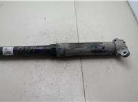 Амортизатор подвески Ford Bronco Sport 2020-2024 20678182 #2