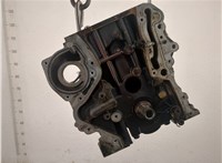 03C103101D Блок цилиндров (Шорт блок) Volkswagen Touran 2003-2006 20678375 #3