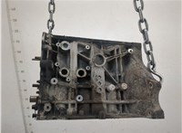 03C103101D Блок цилиндров (Шорт блок) Volkswagen Touran 2003-2006 20678375 #4