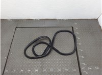  Уплотнитель Cadillac CT5 2019-2024 20678509 #1