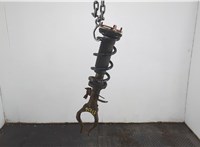  Амортизатор подвески Infiniti EX35 20678919 #1