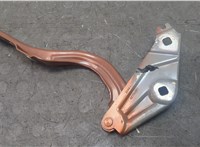 42756087 Петля капота Buick Encore GX 2019-2024 20679432 #1