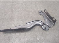 Петля капота Jeep Compass 2017-2021 20679533 #1