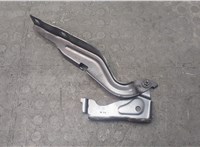 Петля капота Jeep Compass 2017-2021 20679543 #1