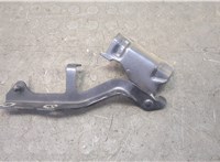 Петля капота Infiniti QX60 2013-2020 20679597 #1